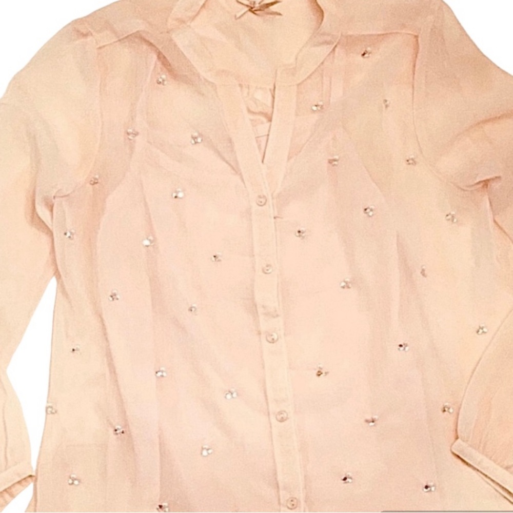 Champagne Pink Sheer Blouse with attached cami